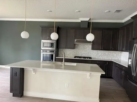 10732 Pahokee Beach Place Orlando FL 32827