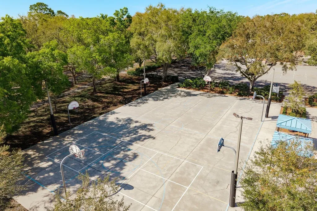 5442 Millbrook Way Palm Harbor FL 34685