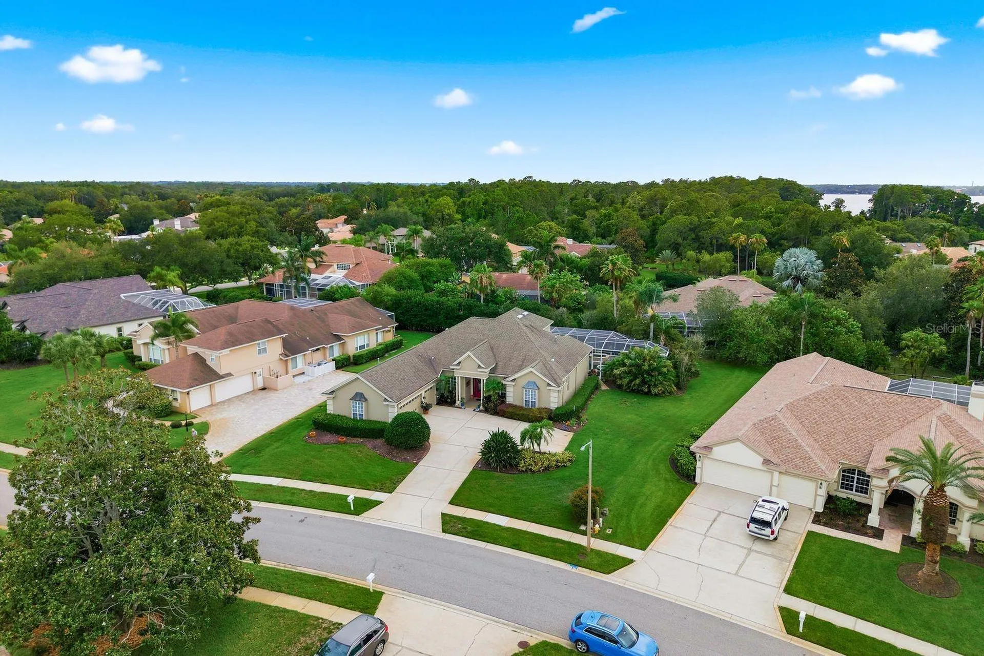 5442 Millbrook Way Palm Harbor FL 34685