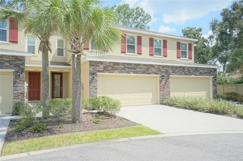 13107 Canopy Creek Drive Tampa FL 33625