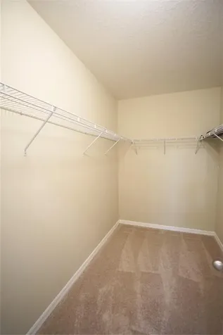 13107 Canopy Creek Drive Tampa FL 33625