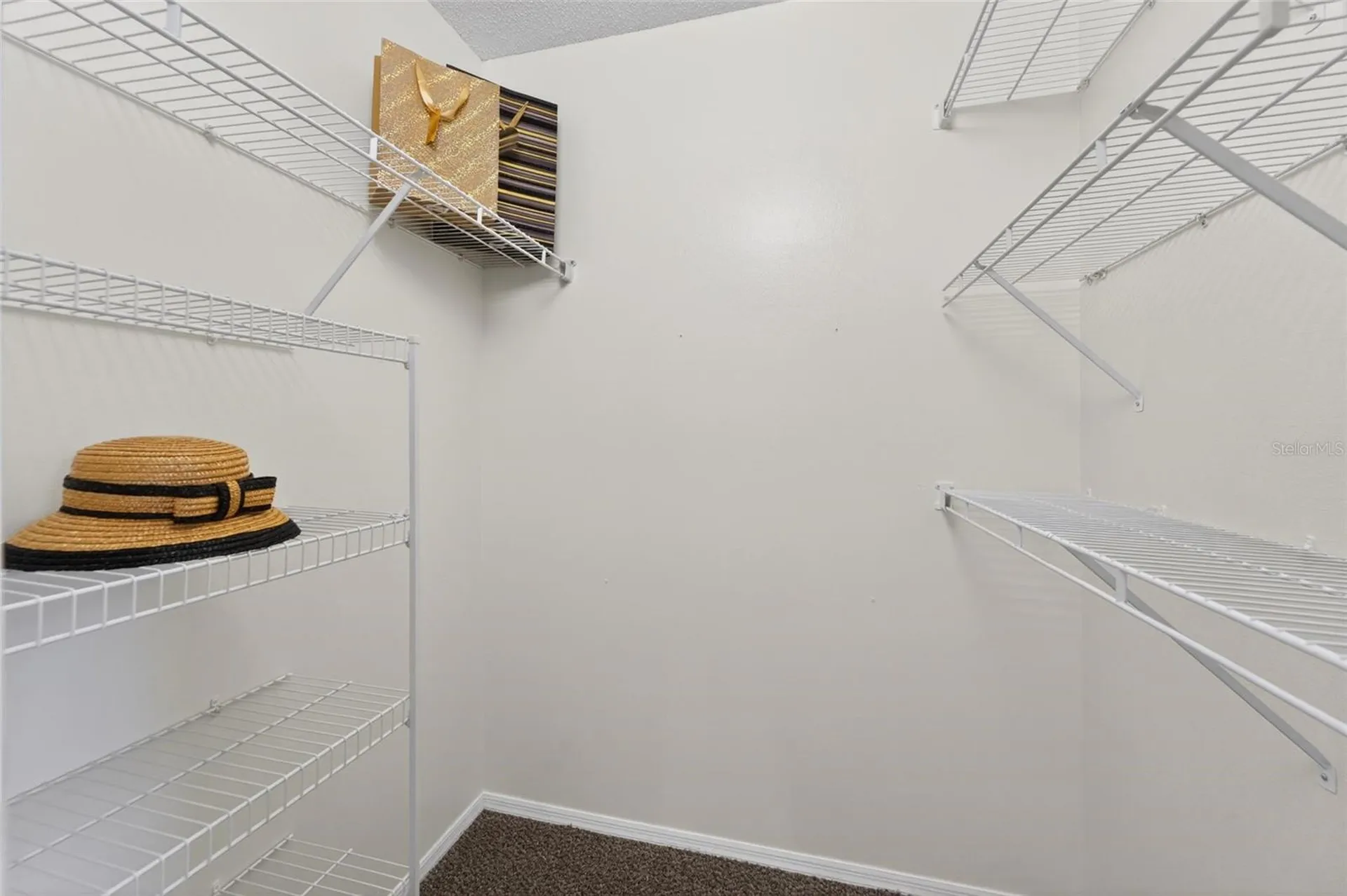 418 Henderson Avenue Seffner FL 33584