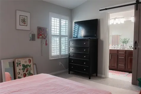 3033 Pointeview Drive Tampa FL 33611