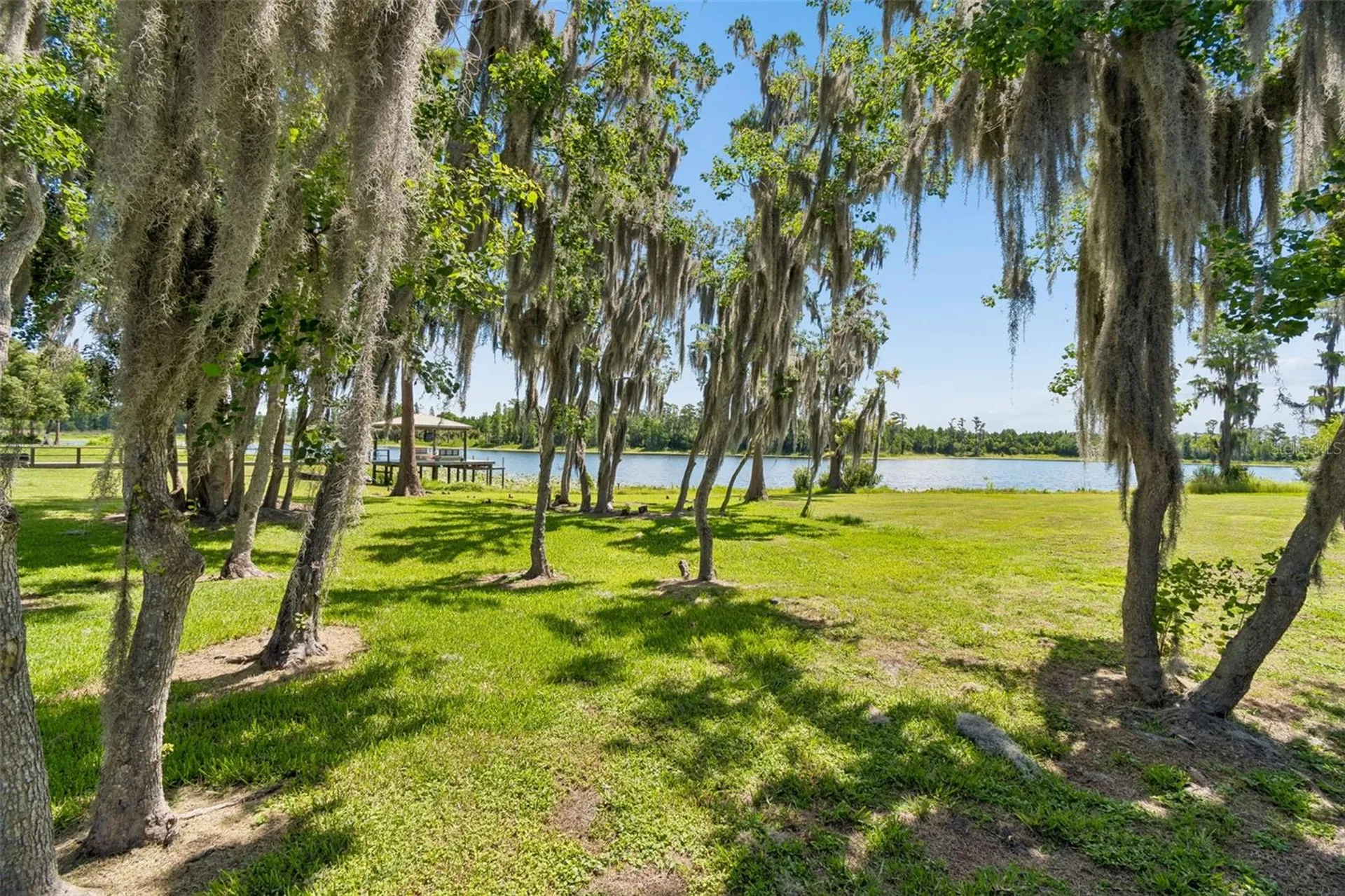 19165 Pease Place Lutz FL 33558