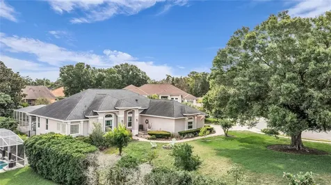 9113 Ivey Hill Court Orlando FL 32819