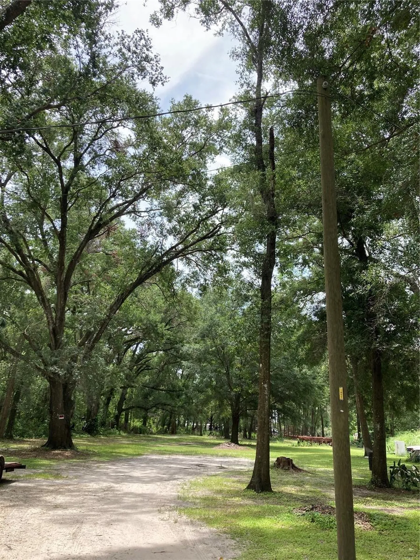 E Pine Avenue Mount Dora FL 32757