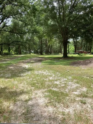E Pine Avenue Mount Dora FL 32757