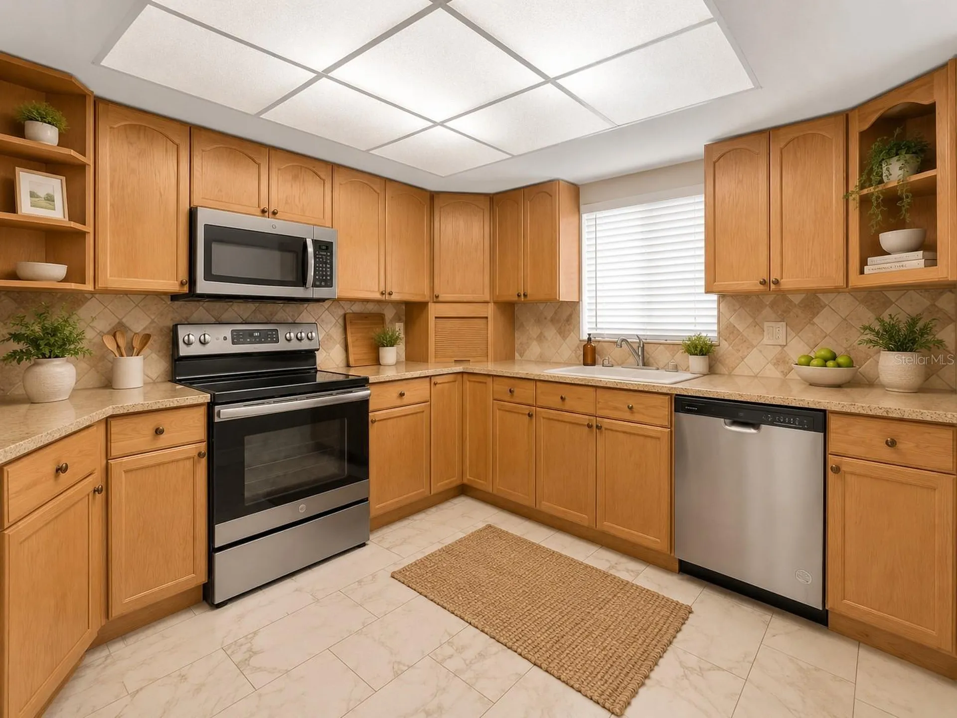 9809 Lombard Court Tampa FL 33618