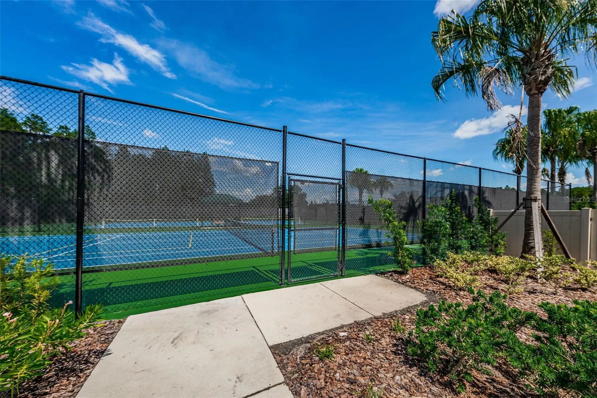 10764 Pleasant Knoll Drive Tampa FL 33647