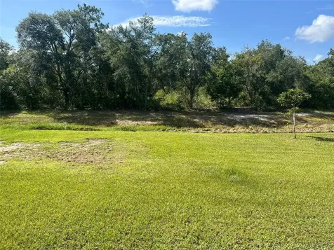 408 Mallard Way Kissimmee FL 34759