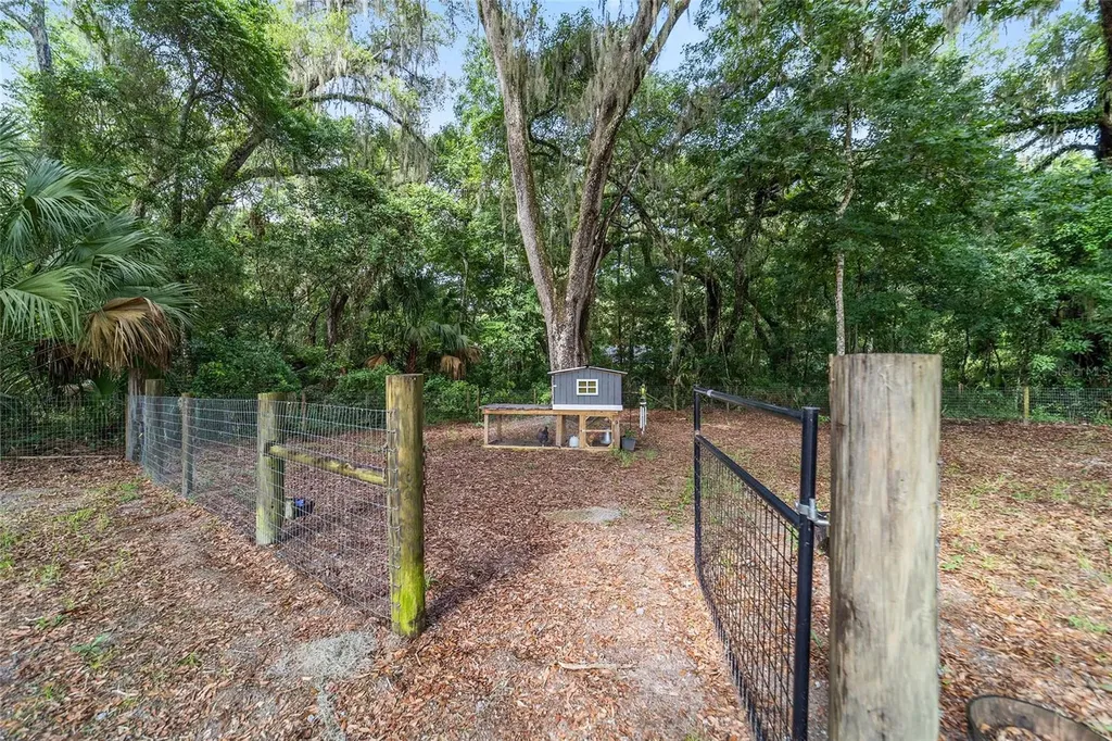 14366 NE 42nd Terrace Anthony FL 32617