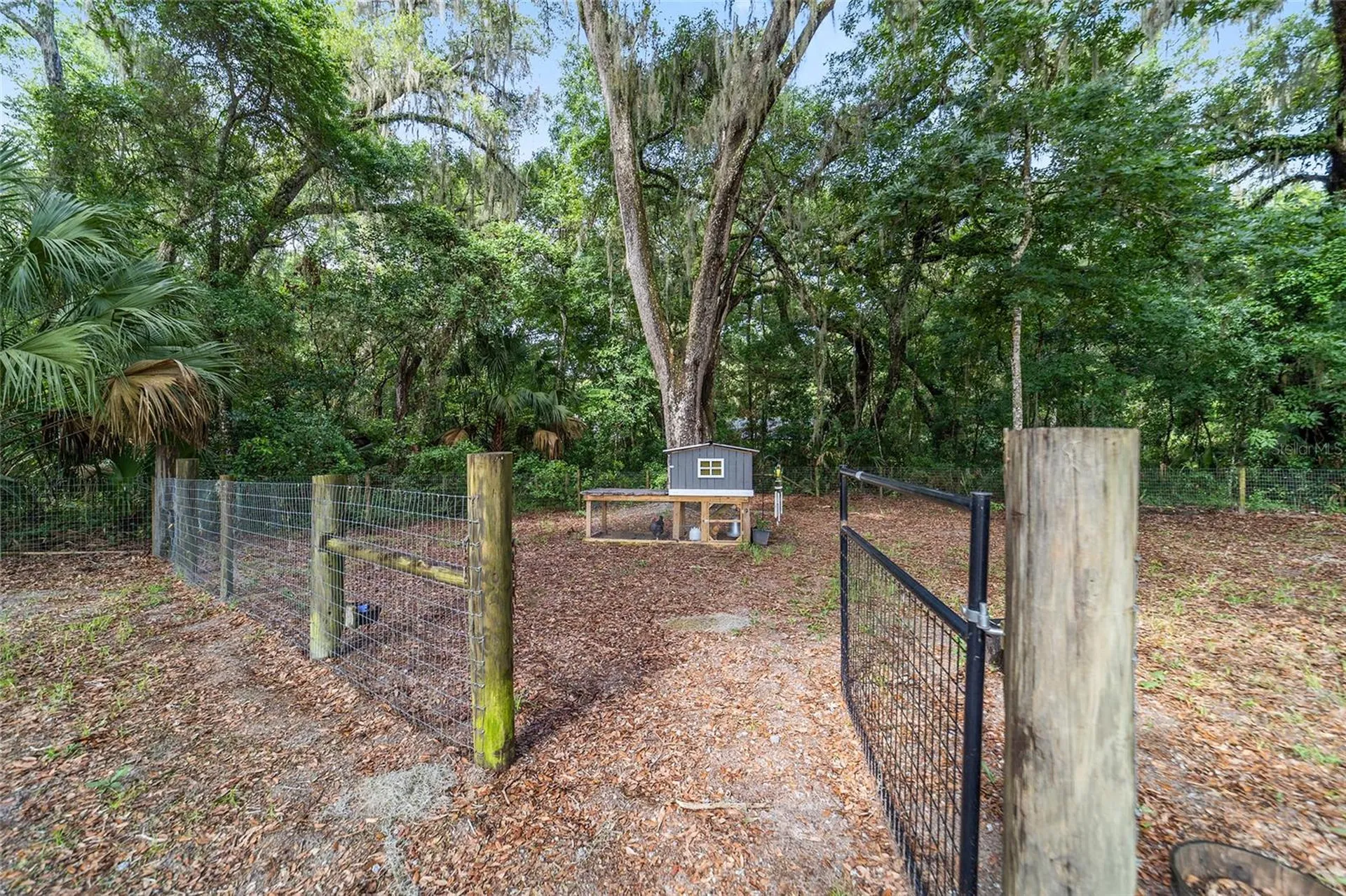 14366 NE 42nd Terrace Anthony FL 32617