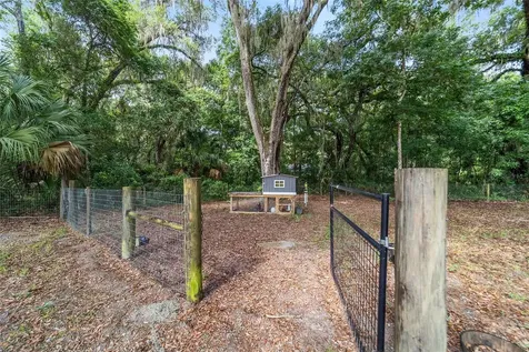 14366 NE 42nd Terrace Anthony FL 32617