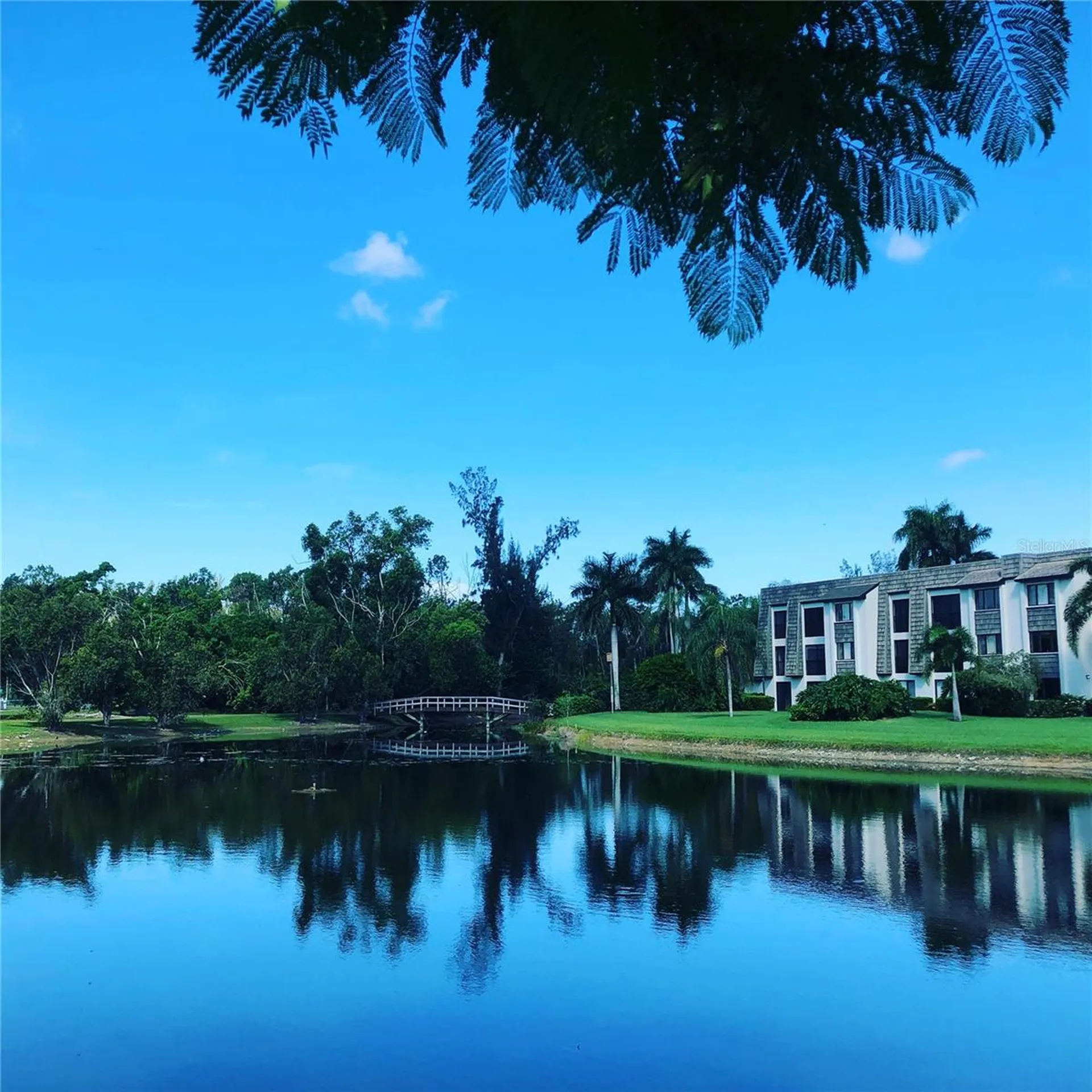 1645 Spoonbill Lane Naples FL 34105