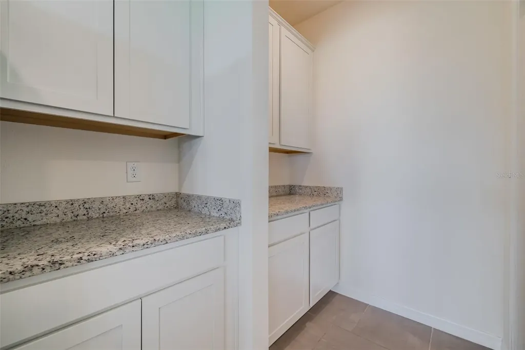 13090 Brookside Moss Drive Riverview FL 33579