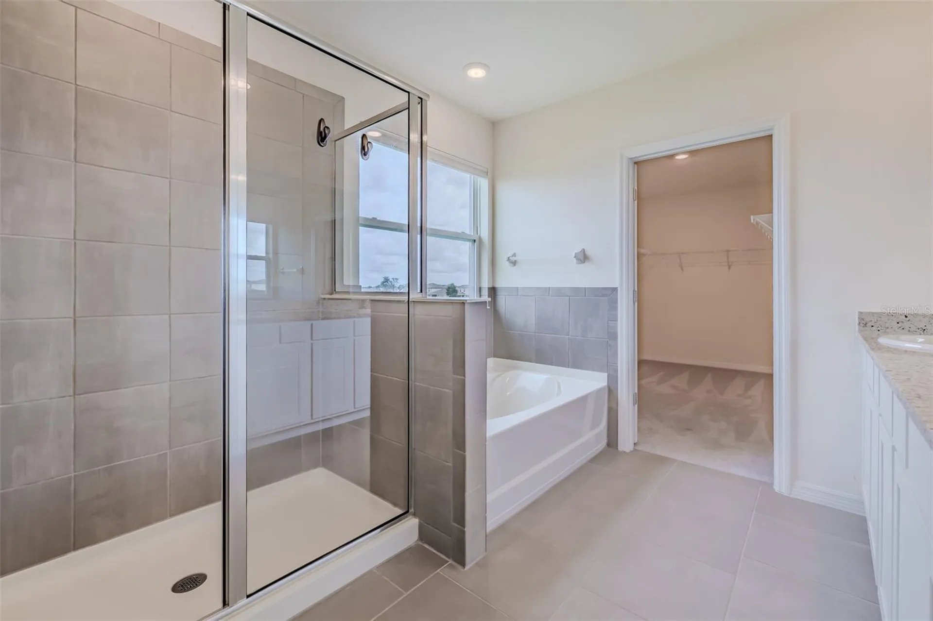 13090 Brookside Moss Drive Riverview FL 33579