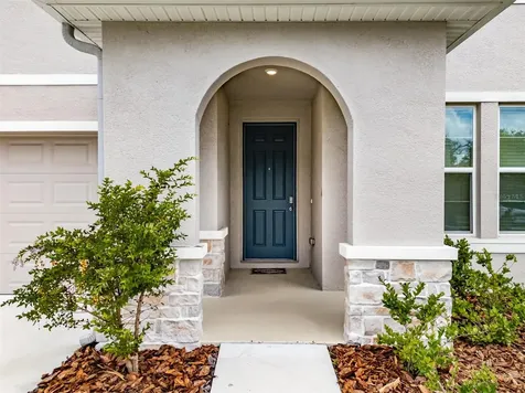 13090 Brookside Moss Drive Riverview FL 33579