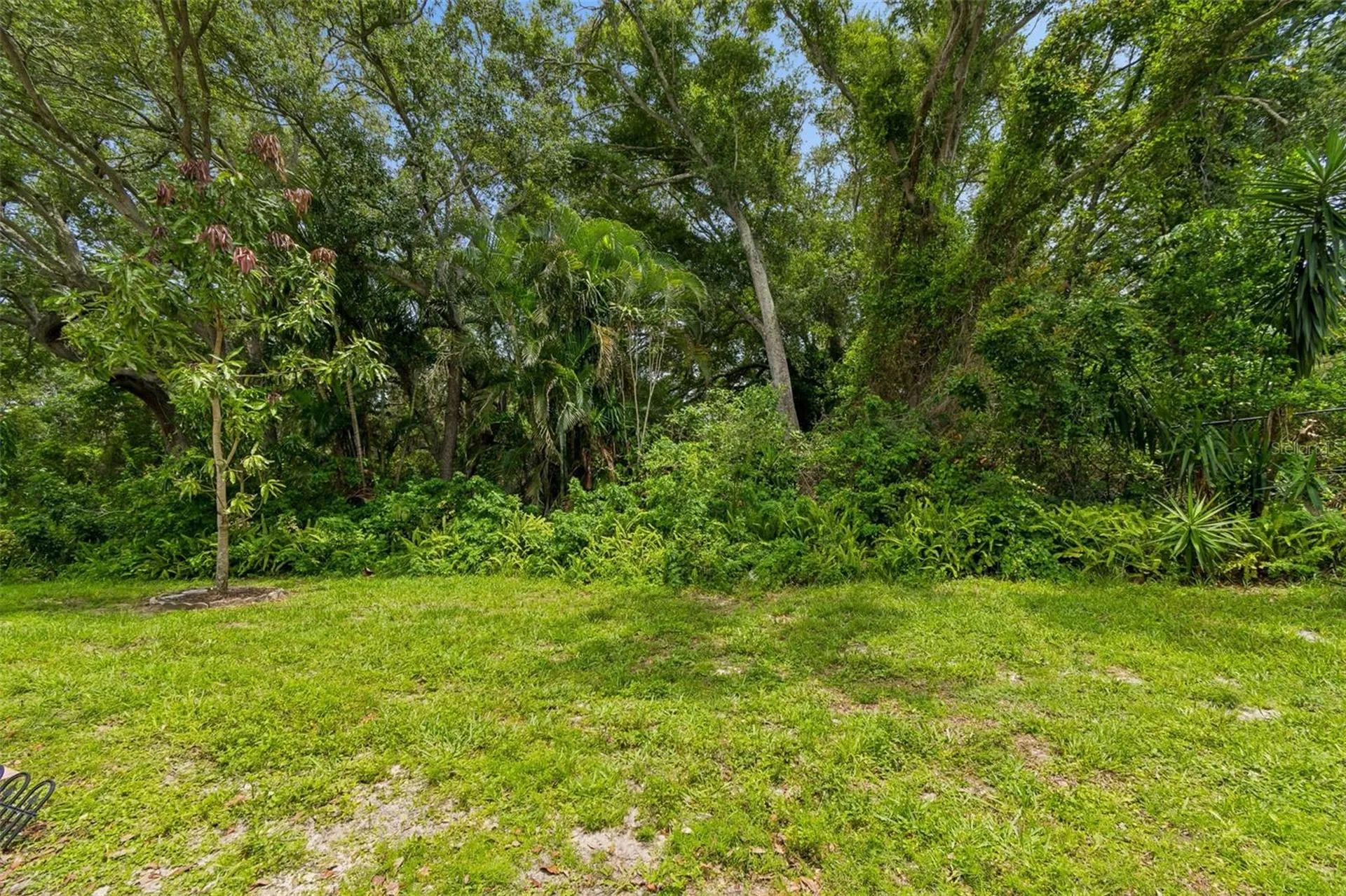 1403 Brigadoon Drive Clearwater FL 33759