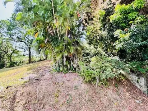 Bo Ciénega Alta Sector La Rueda Carr#959 Rio Grande PR 00745