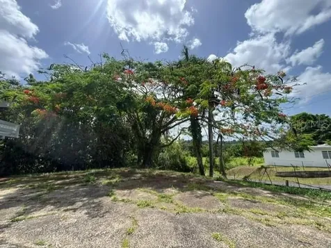 Bo Ciénega Alta Sector La Rueda Carr#959 Rio Grande PR 00745