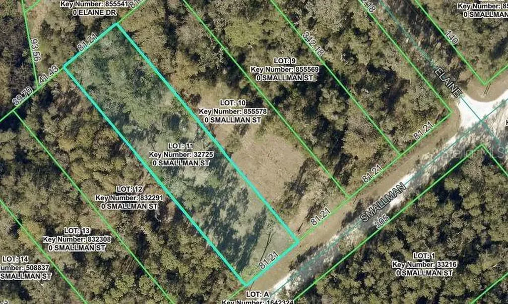 Smallman Street Webster FL 33597