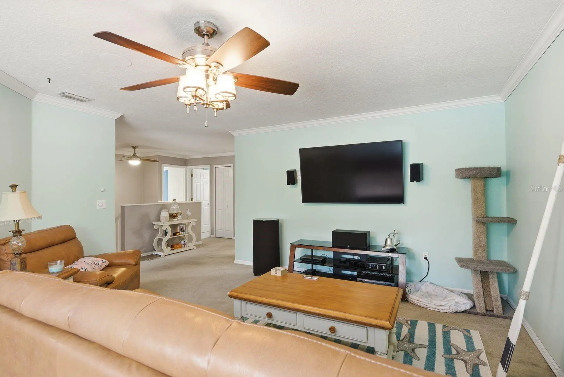384 Wingate Circle Oldsmar FL 34677
