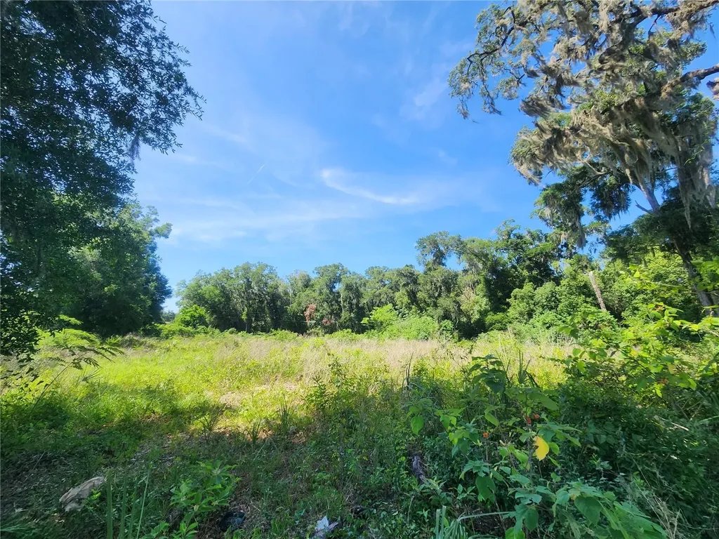 Tbd 97th Street Road Anthony FL 32617