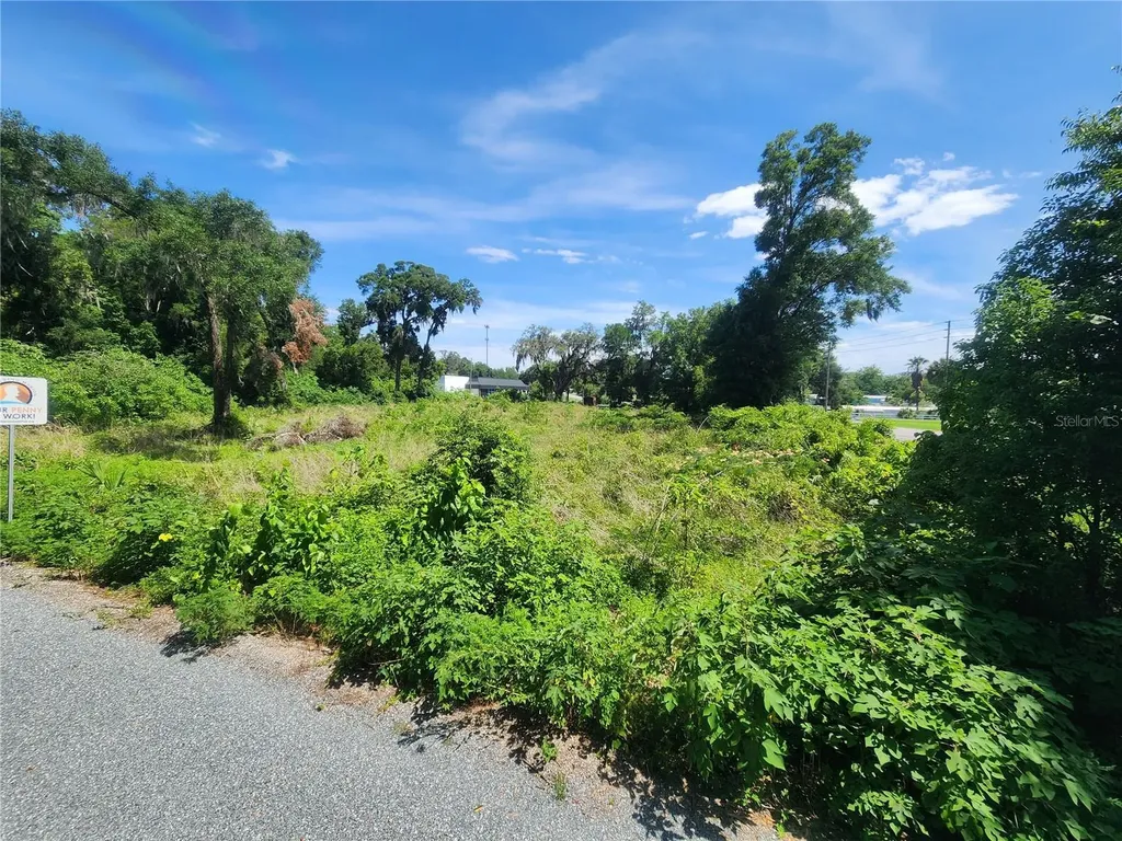 Tbd 97th Street Road Anthony FL 32617