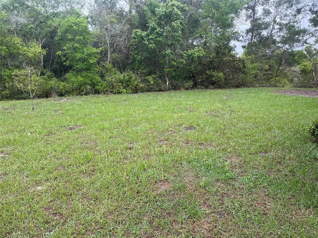 619 Hickory Avenue Orange City FL 32763