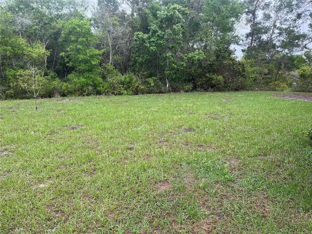 619 Hickory Avenue Orange City FL 32763