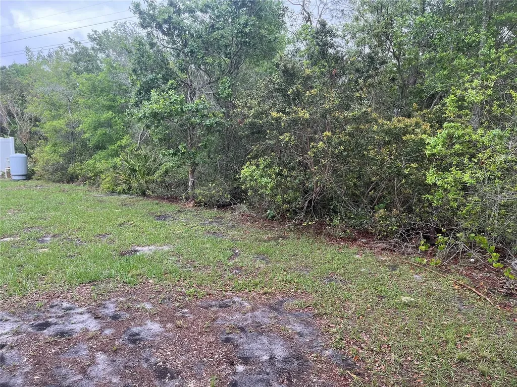 619 Hickory Avenue Orange City FL 32763