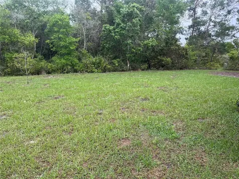 619 Hickory Avenue Orange City FL 32763