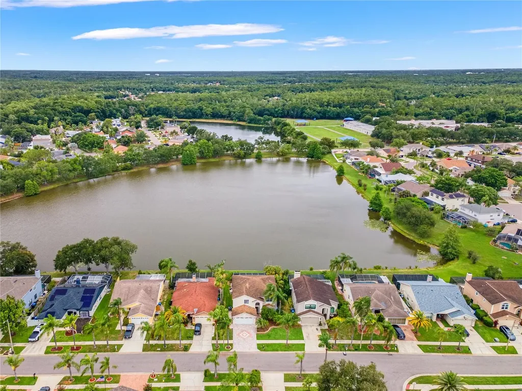 11503 Whispering Hollow Drive Tampa FL 33635