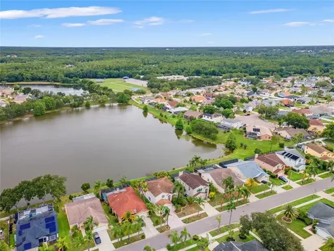 11503 Whispering Hollow Drive Tampa FL 33635