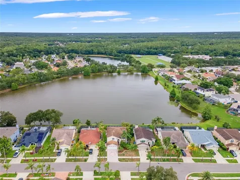 11503 Whispering Hollow Drive Tampa FL 33635