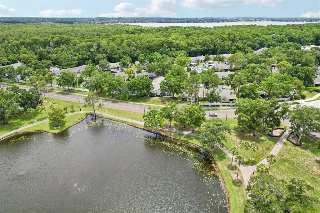 3878 Tanager Place Palm Harbor FL 34685