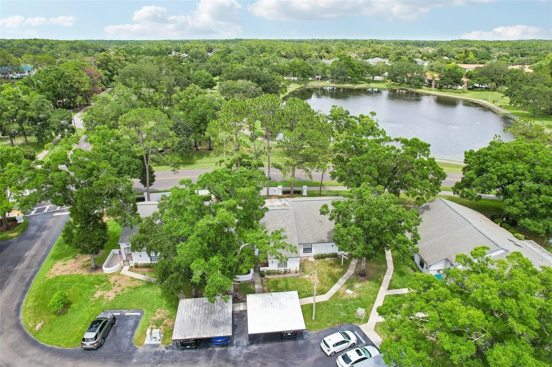 3878 Tanager Place Palm Harbor FL 34685