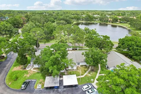 3878 Tanager Place Palm Harbor FL 34685