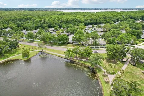 3878 Tanager Place Palm Harbor FL 34685