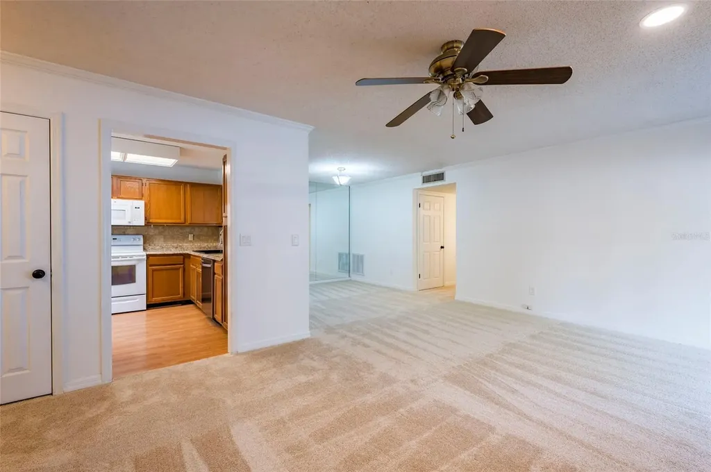 3164 Valley Oaks Drive Tampa FL 33618