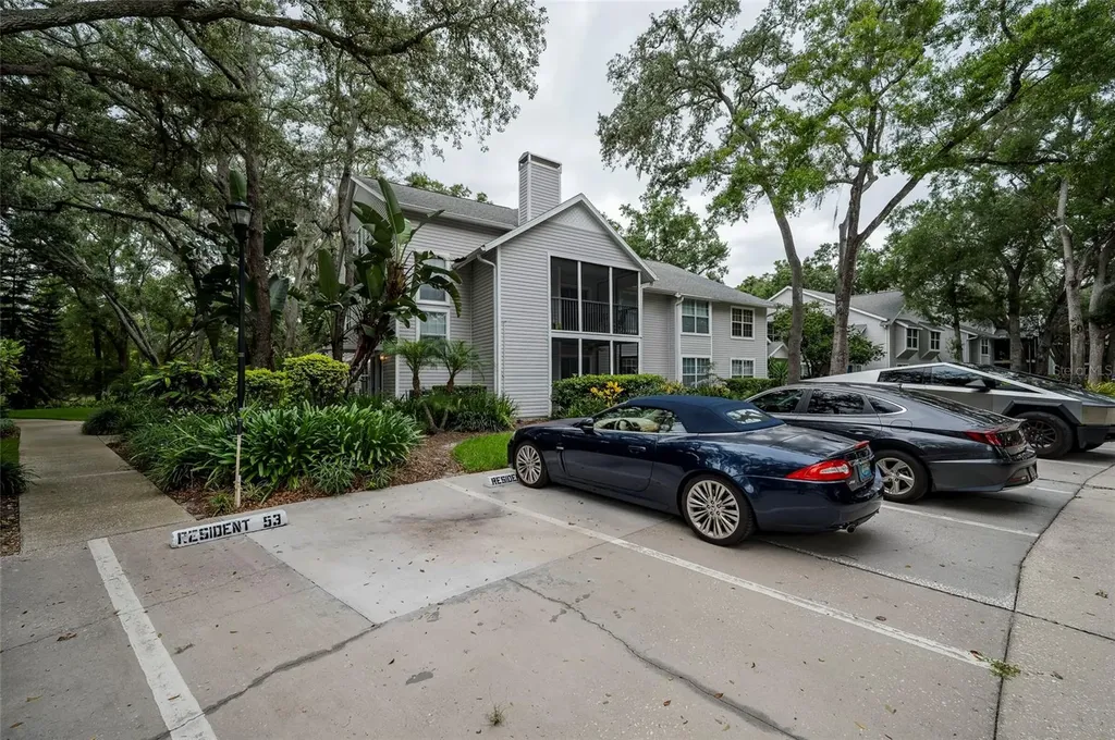 3164 Valley Oaks Drive Tampa FL 33618