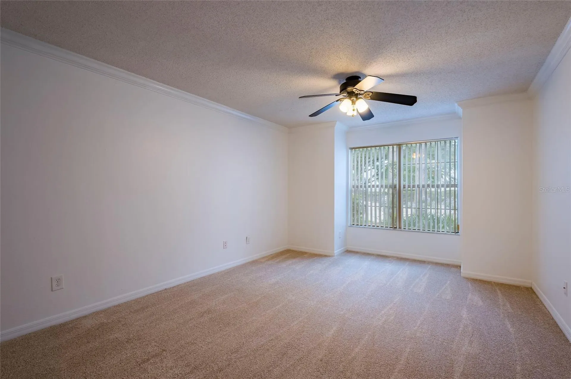 3164 Valley Oaks Drive Tampa FL 33618