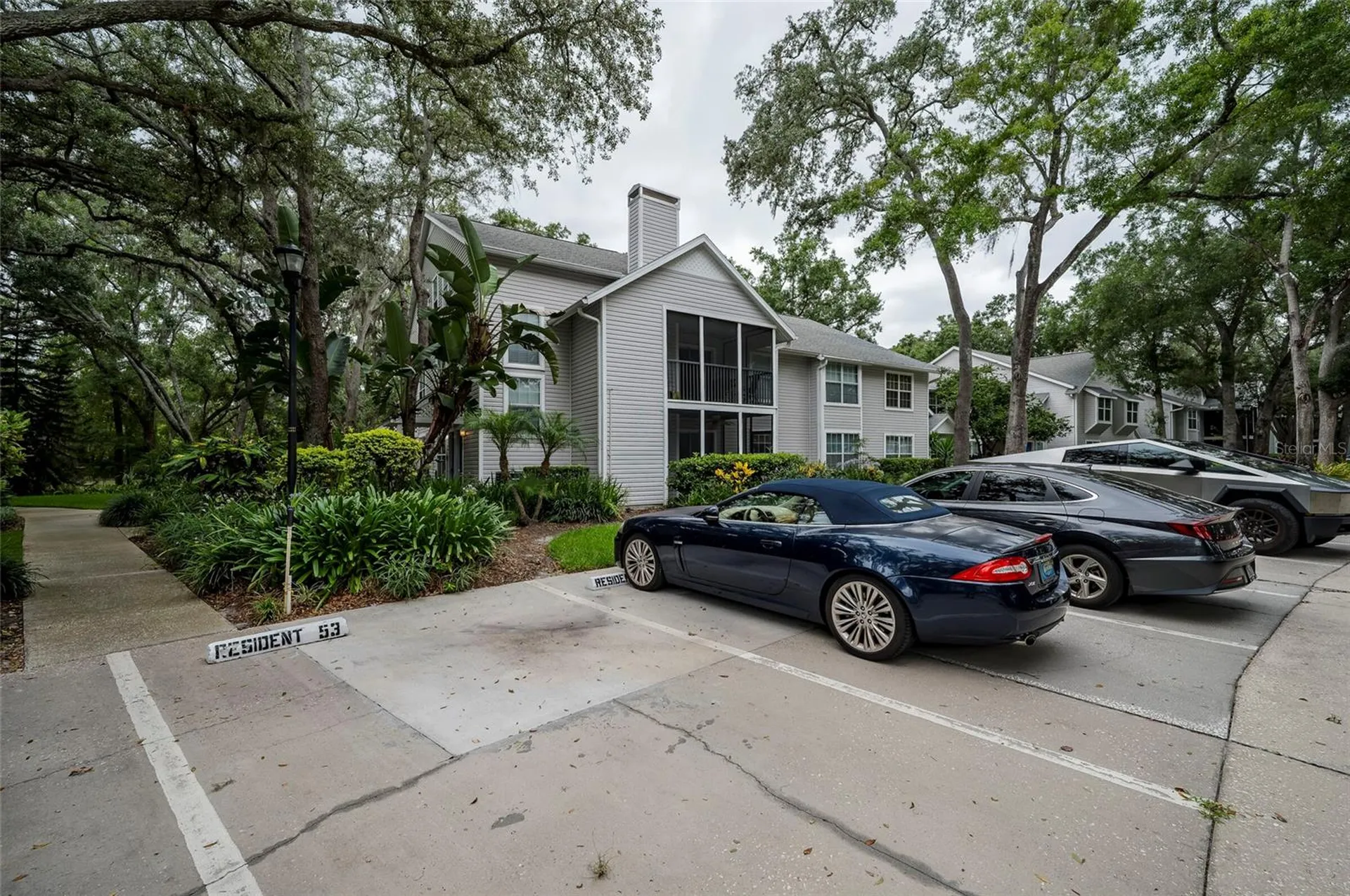 3164 Valley Oaks Drive Tampa FL 33618
