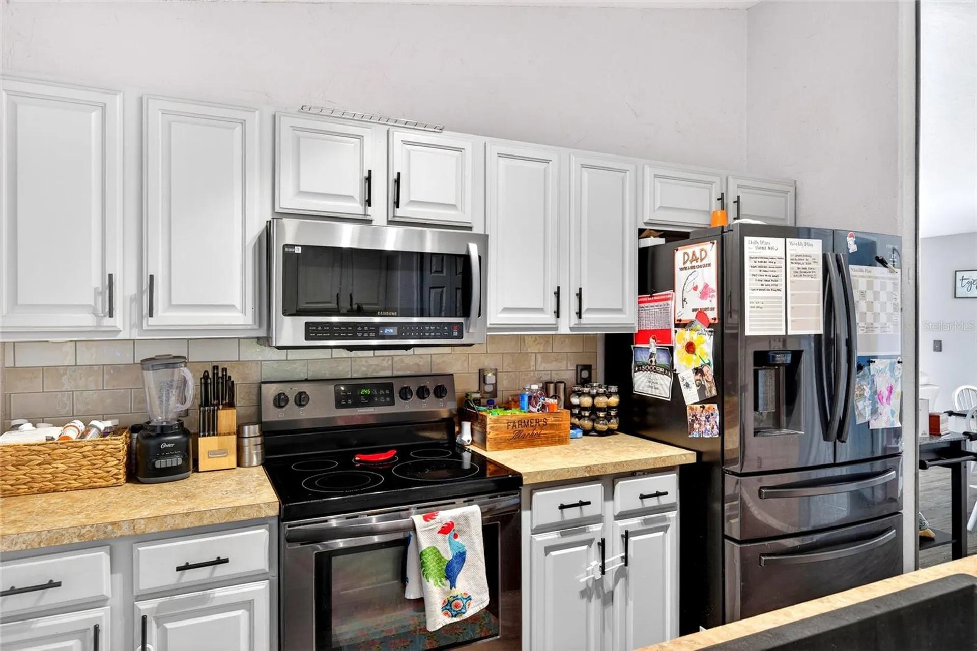 45 Larch Radial Ocala FL 34480