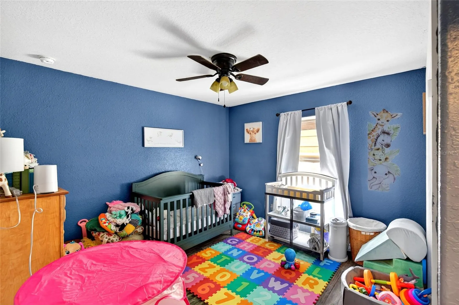 45 Larch Radial Ocala FL 34480