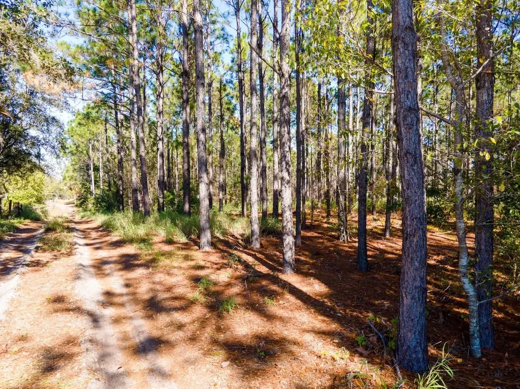 Lost Lake Road Clermont FL 34711