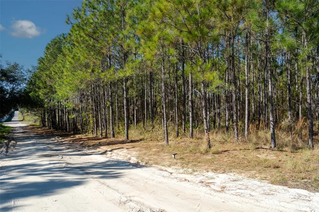 Lost Lake Road Clermont FL 34711