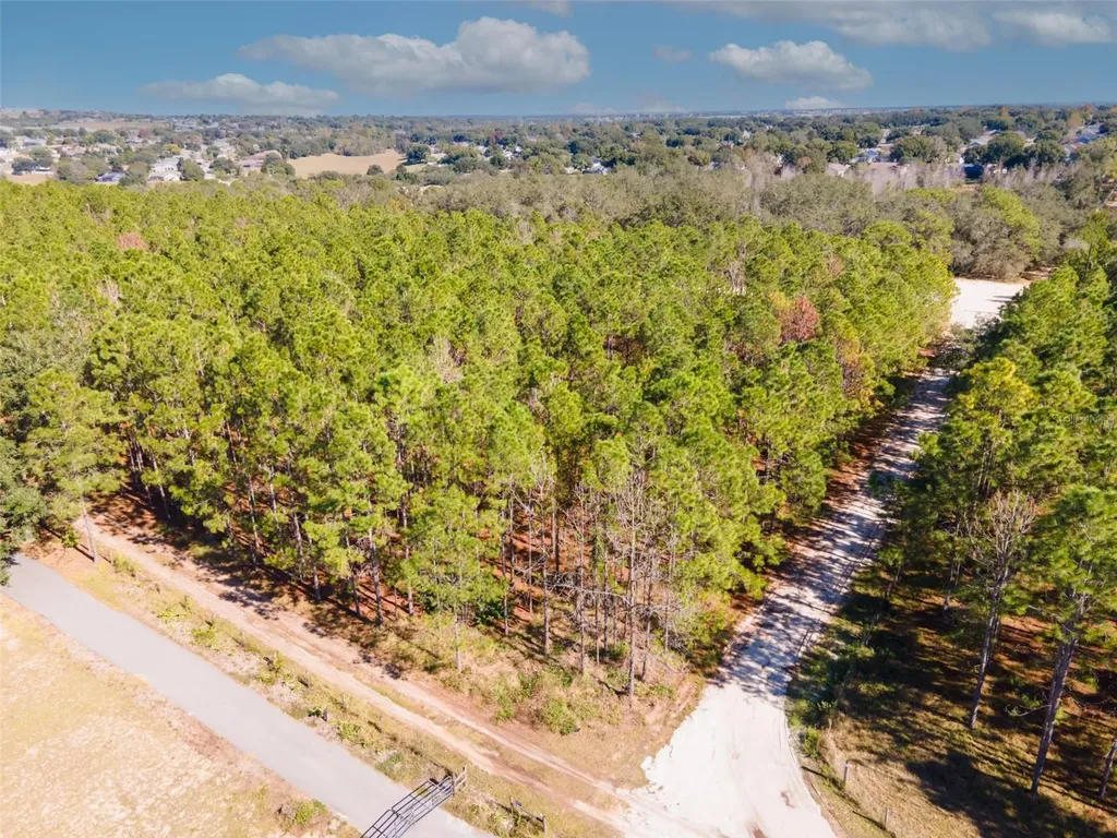 Lost Lake Road Clermont FL 34711