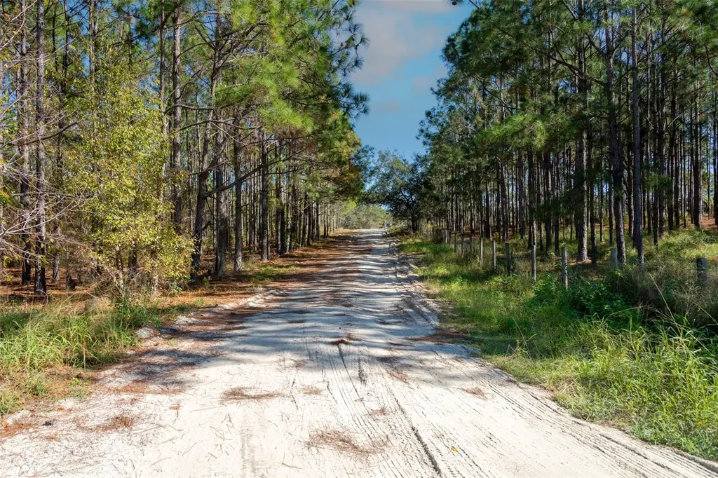 Lost Lake Road Clermont FL 34711
