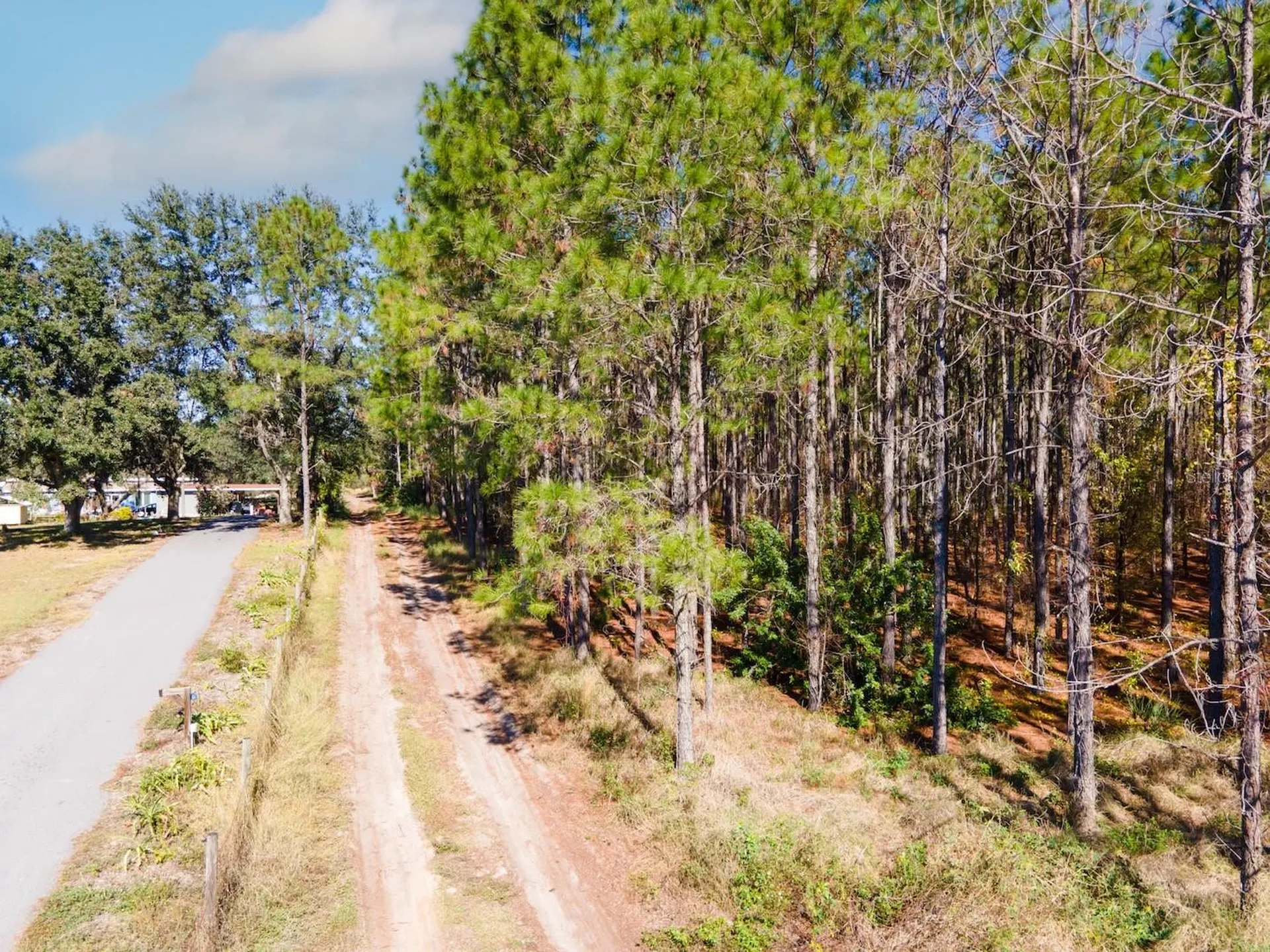 Lost Lake Road Clermont FL 34711